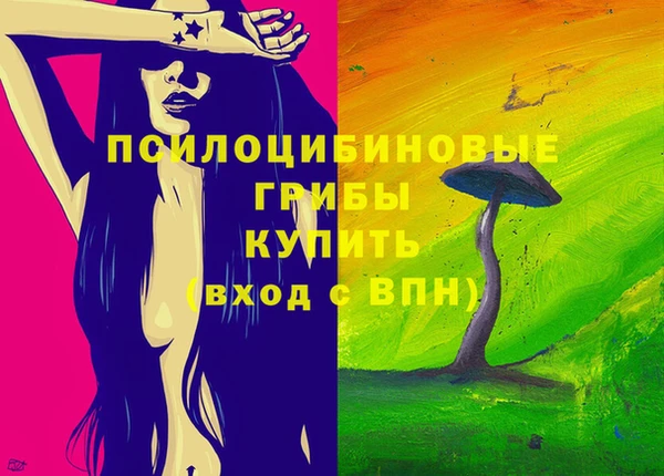 эйфоретик Аркадак