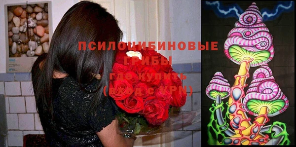 эйфоретик Аркадак