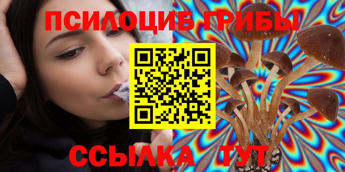Галлюциногенные грибы MAGIC MUSHROOMS  Вход с VPN  Дюртюли  Галлюциногенные грибы Cubensis 
